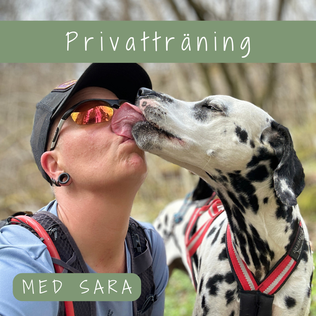 Privatträning med Sara